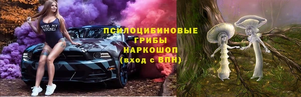 стафф Дмитров