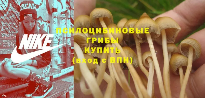 ОМГ ОМГ рабочий сайт  Сухиничи  Галлюциногенные грибы Magic Shrooms  где купить наркоту 